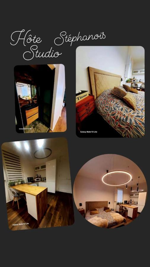 Hote Stephanois Studio, Parking& Borne Electrique Сент-Этьен Экстерьер фото